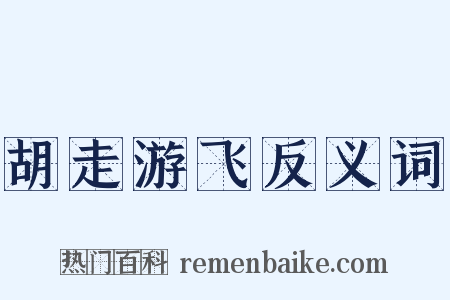 胡走游飞反义词是什么意思的图片